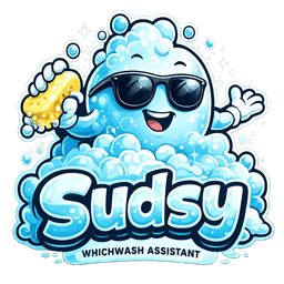 Sudsy β WhichWash AI mascot